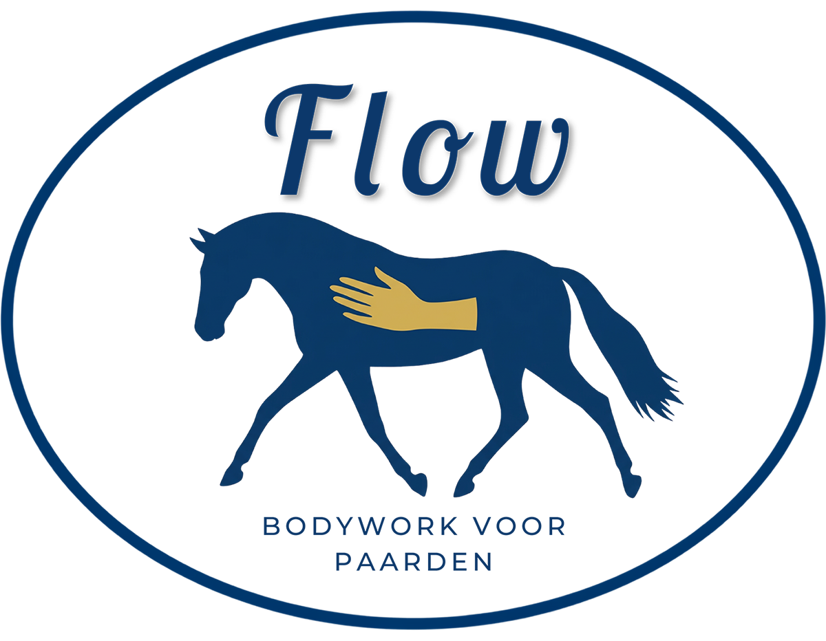 Flow Bodywork